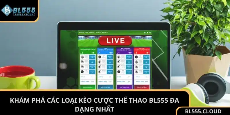 Khám phá các loại kèo cược thể thao BL555 đa dạng nhất