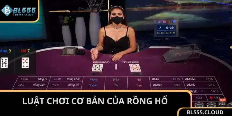 Luật chơi cơ bản của Rồng Hổ